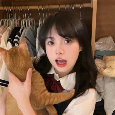蓝色马蹄莲