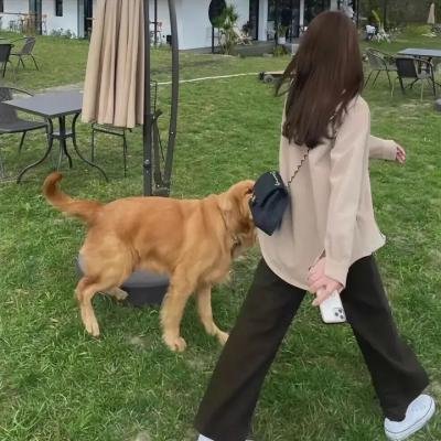 杀出西营盘