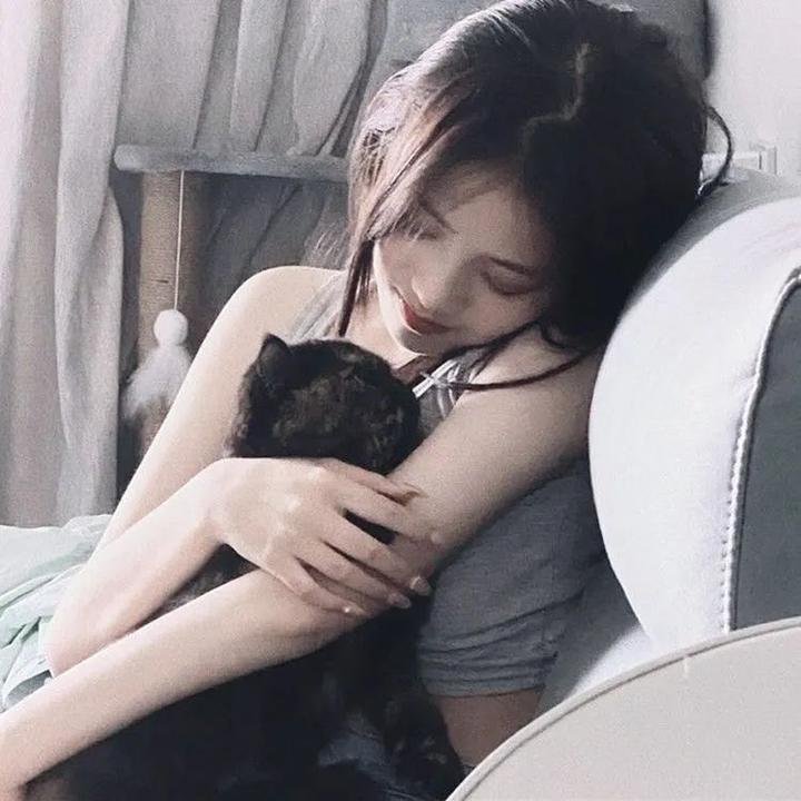 我的情敌女婿